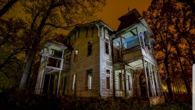 طعم هراسی و وحشت دلپذیر