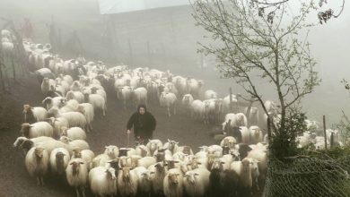 عشایر گیلان