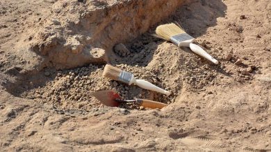 شاخ اینستاگرام