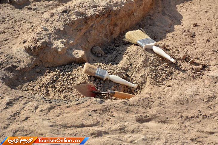 شاخ اینستاگرام