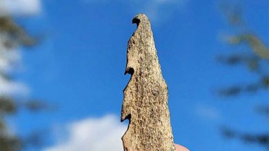 کشف سلاح از استخوان انسان