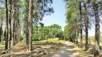 خرم‌آباد لرستان