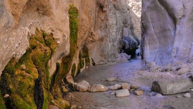 خراسان جنوبی