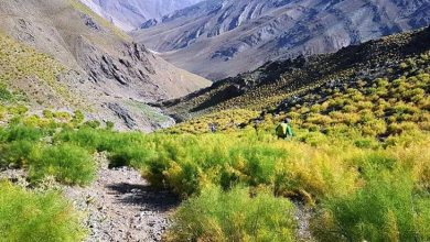 روستای لالان فشم