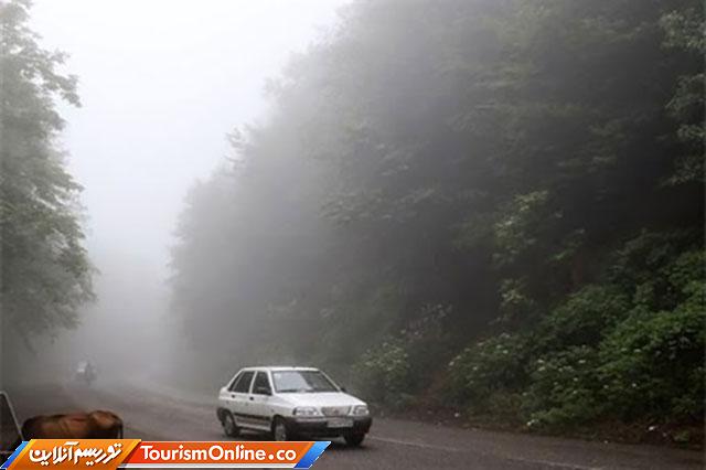 مه گرفتگی و باران در جاده