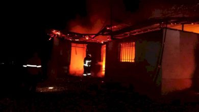 آتش‌سوزی باغ جهانی عباس آباد بهشهر