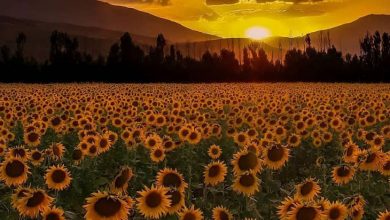 پیرانشهر آذربایجان غربی