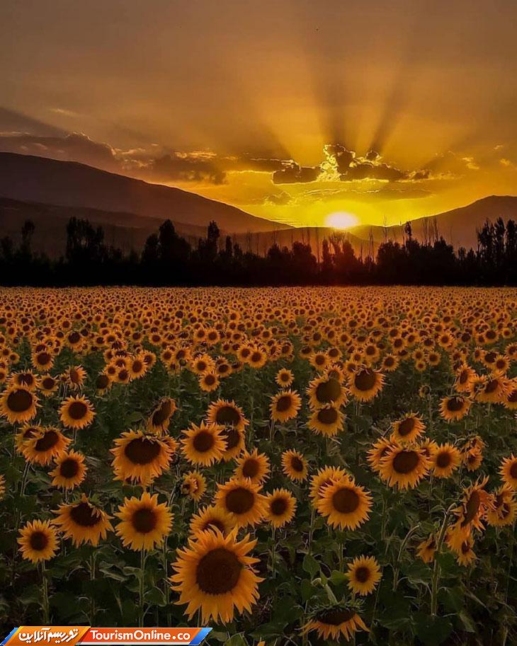 پیرانشهر آذربایجان غربی