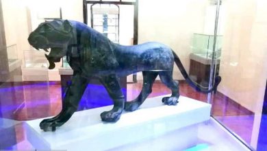 شیر برنزی هرمزگان