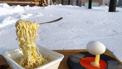 هوای سرد در روسیه