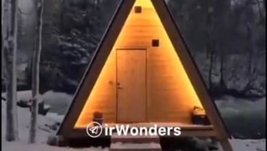 زیباترین سوئیت