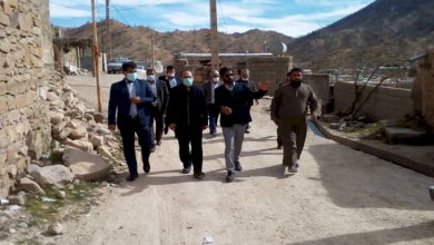 پایلوت بوم‌گردی