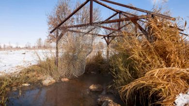 چشمه های آب‌گرم رزن