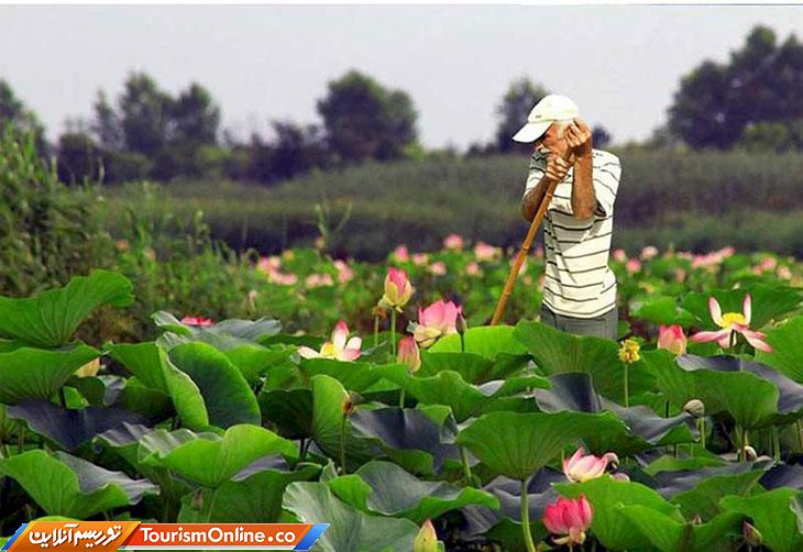 تاسیسات گردشگری گیلان