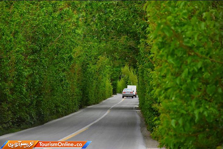 جاده درختی اسلامشهر