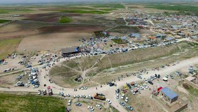 جشن شکرگزاری