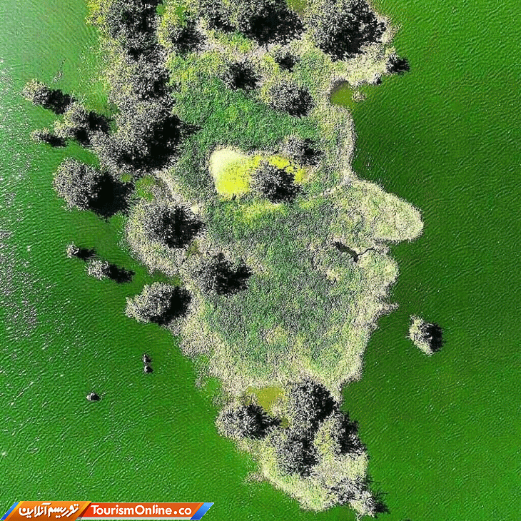 تالاب استیل آستارا