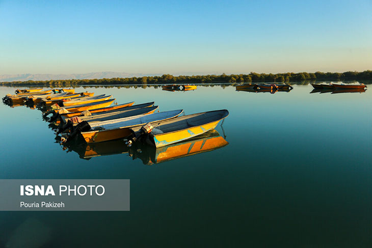 جزیره قشم جنگل حرا
