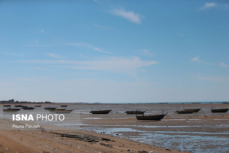 جزیره قشم جنگل حرا