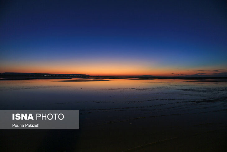 جزیره قشم جنگل حرا