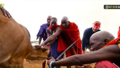 رسم عجیب کشور کنیا