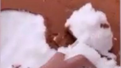 برف عربستان