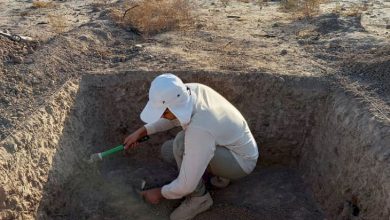 باستان‌شناسی