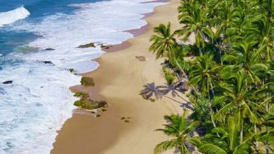 بوشهر دریایی ترین شهر جهان