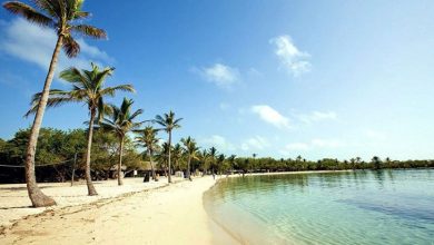 گردشگری ونزوئلا