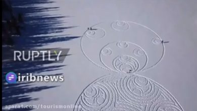 هنرمند کانادایی