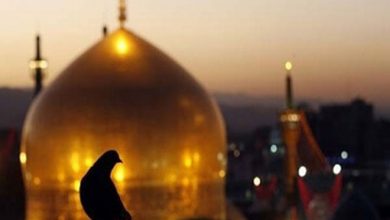 حرم مطهر امام رضا