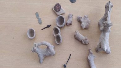 میراث فرهنگی کرمان