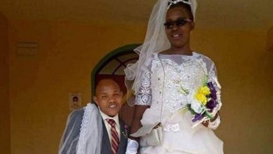 عروس و داماد عجیب