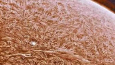 واضح ترین عکس از خورشید