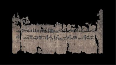 مومیایی کردن