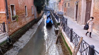 ونیز خشک شد