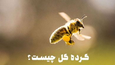 گرده گل