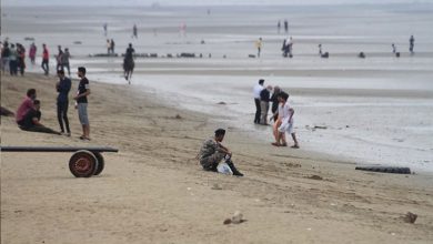 گرشگری دریایی