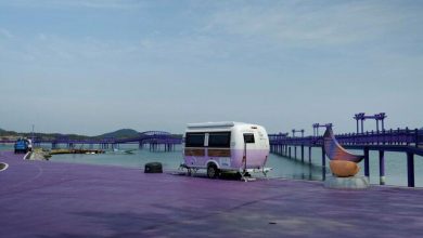 گردشگری در جزیره بنفش