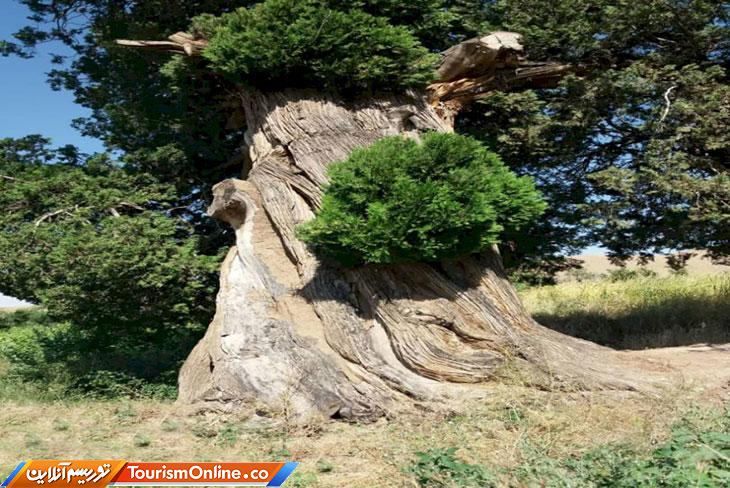 خراسان رضوی