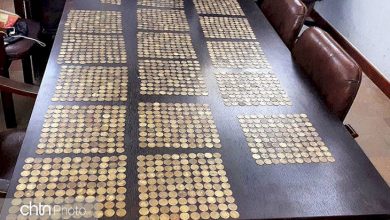 کشف سکه در کاشان