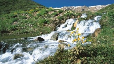 سی‌سخت کهگیلویه و بویراحمد