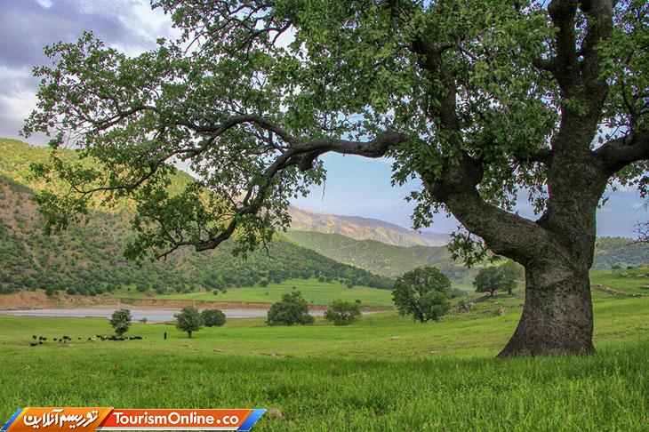 کاهش گردشگری در جهان