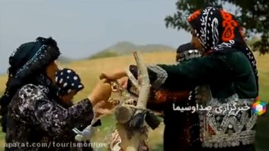 گل ونی زنان زاگرس