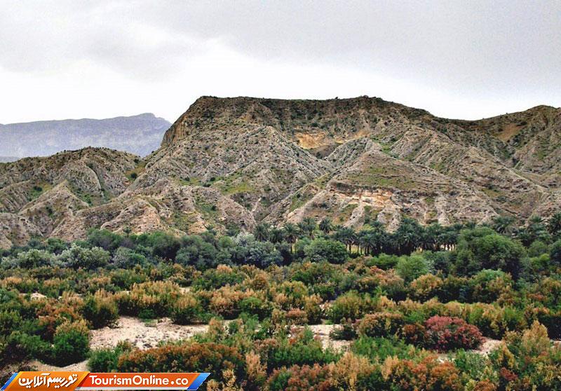 جنگل گلوبردکان