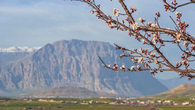 کوه بیستون کرمانشاه