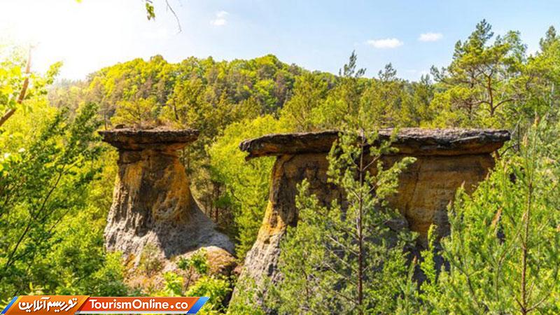 سازمان جهانی گردشگری