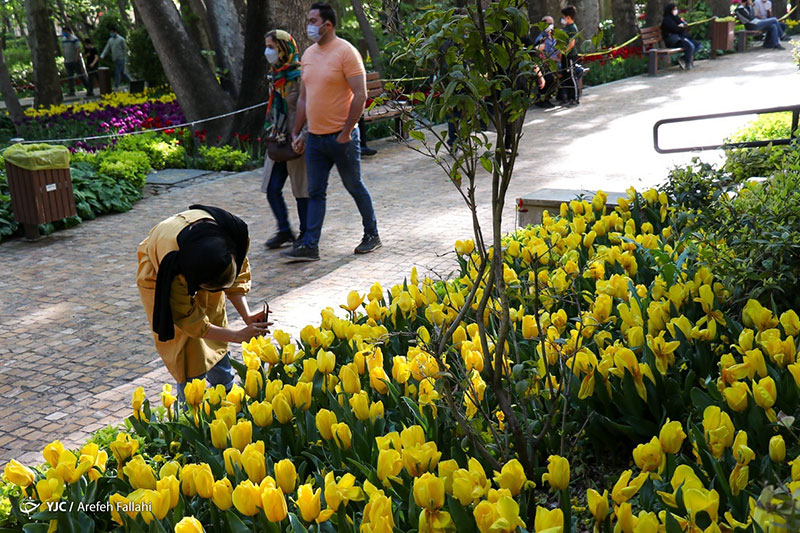 باغ ایرانی بهشت پایتخت