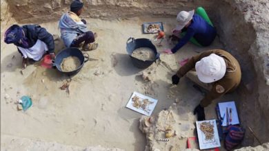 باستان شناسی