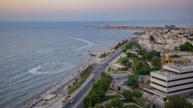 اقامت در بوشهر